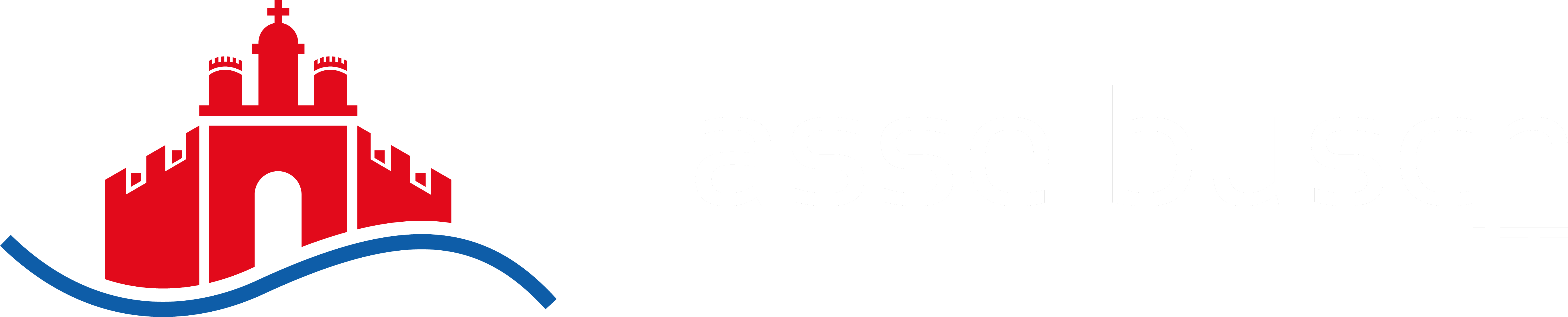 Hasselbusch IT